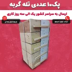 پک 10 عددی تله گربه بزرگ 4 فنره فنر قوی - تصویر 3