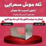تله موش فلزی (زنده‌گیر)