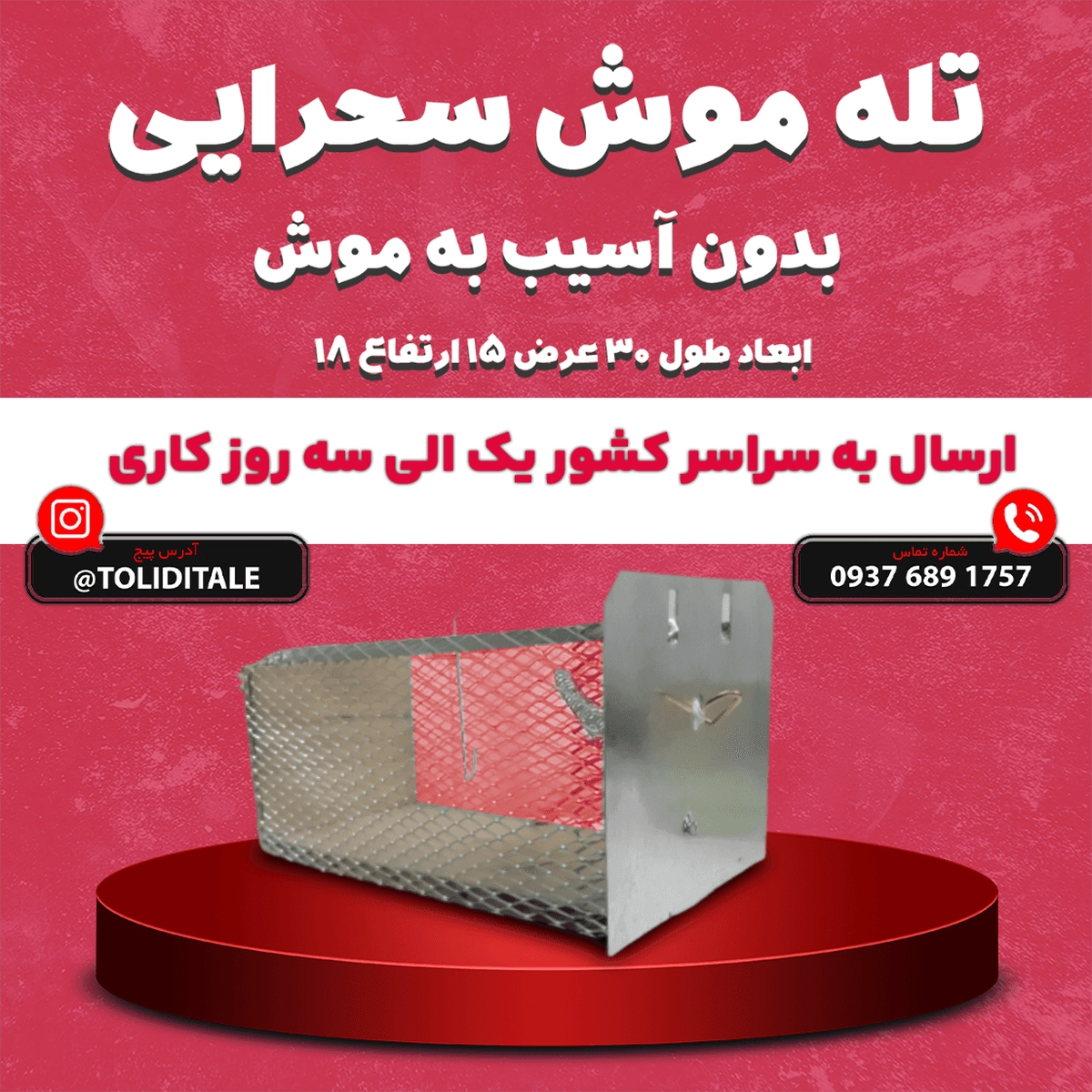 download-39-1.webp تله موش فلزی (زندهگیر) - تصویر 1